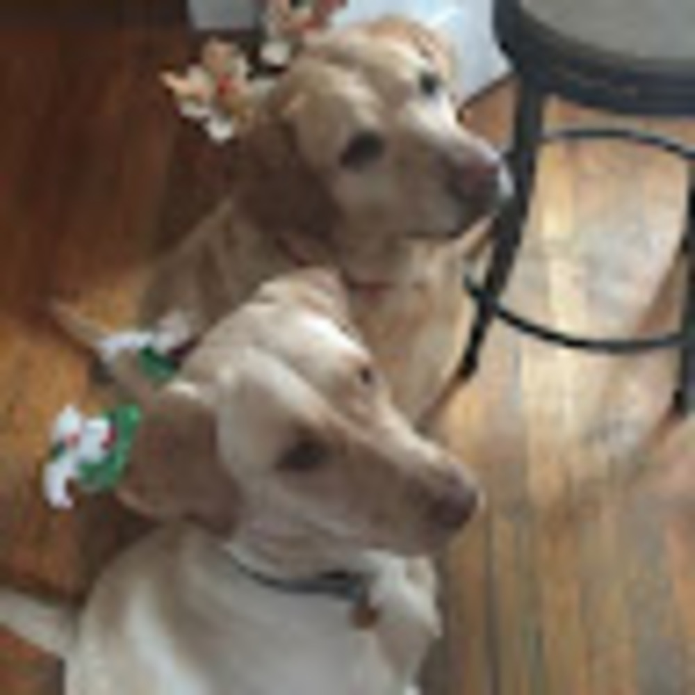 Meet your Posher, Silvana